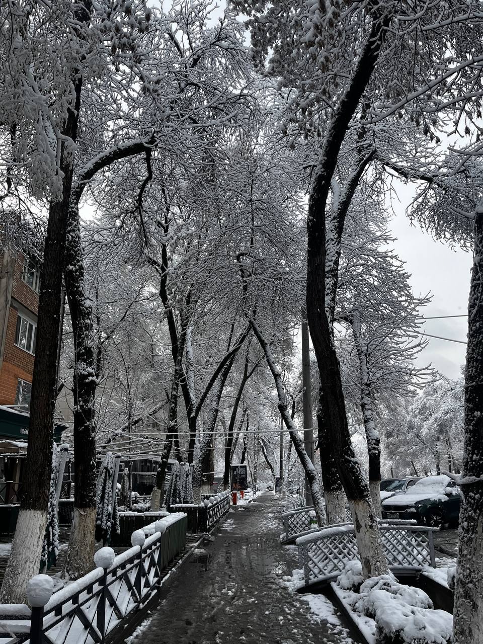 Winter scenery in Tashkent, with snow-covered streets.